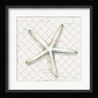 Ocean View II Framed Print