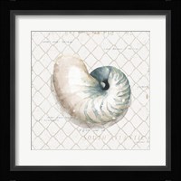 Ocean View IV Framed Print
