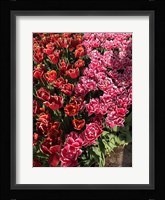 Dutch Treat Fine Art Print