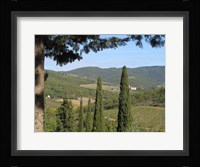 My Tuscany Fine Art Print