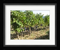 Time To Harvest Fine Art Print