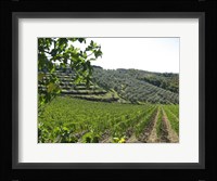 Tuscan Hills Fine Art Print