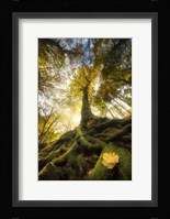 The Goodbye of a Leaf Fine Art Print