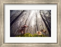 Small and Giant Creatures of the Woods Fine Art Print