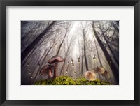 Small and Giant Creatures of the Woods Fine Art Print