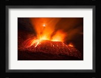 In Full Activity Fine Art Print