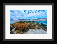 Into the Lagoon! Fine Art Print