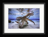 Dancing Octopus Fine Art Print