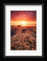 Low Tide on the Lagoon of Saint Leu Fine Art Print