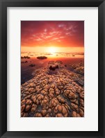 Low Tide on the Lagoon of Saint Leu Fine Art Print