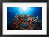 Apnea Fine Art Print