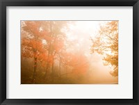 Beyond The Fog Fine Art Print