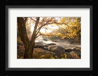 Georgia Fall Fine Art Print