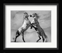 Challengers Fine Art Print