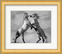 Challengers Fine Art Print