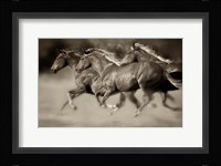 Wind Runners Fine Art Print