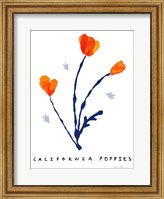 California Poppies Fine Art Print