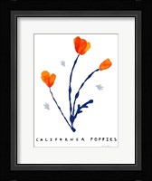 California Poppies Fine Art Print
