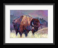 Buffalo Roam Fine Art Print