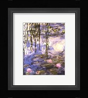 Waterlilies (pink flowers) Fine Art Print