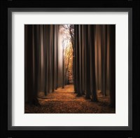 Don't Wake Me Up Fine Art Print