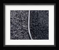 Divided Fine Art Print