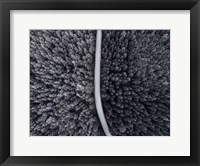 Divided Fine Art Print