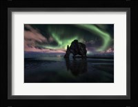 Rhino Fine Art Print