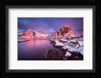 Purple Glow Fine Art Print