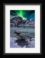 Green Sky Fine Art Print