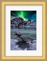 Green Sky Fine Art Print