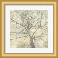 Below My Tree II (detail) Fine Art Print