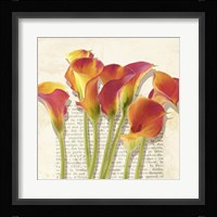 Histoires de Callas (detail) Framed Print