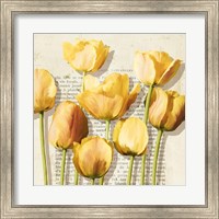 Histoires de Tulipes (detail) Fine Art Print