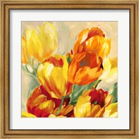 Tulips in the Sun I Fine Art Print