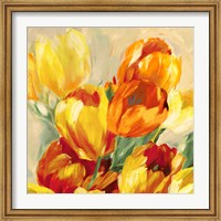 Tulips in the Sun I Fine Art Print
