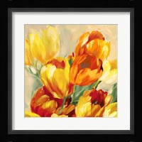 Tulips in the Sun I Fine Art Print