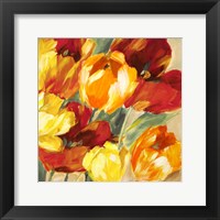 Tulips in the Sun II Fine Art Print