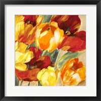 Tulips in the Sun II Framed Print