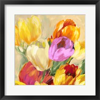 Colorful Tulips I Framed Print