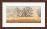 Trees in the Mist Fine Art Print
