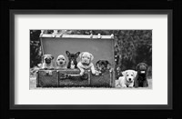 Dog Pups in a Suitcase Fine Art Print