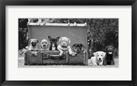 Dog Pups in a Suitcase Fine Art Print