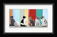 Cats in the Sun Fine Art Print