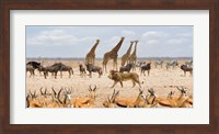 Sovereign Passing By (Masai Mara) Fine Art Print