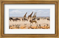 Sovereign Passing By (Masai Mara) Fine Art Print