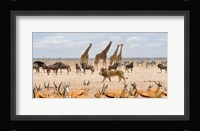 Sovereign Passing By (Masai Mara) Fine Art Print