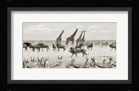 Sovereign Passing By (Masai Mara, BW) Fine Art Print