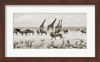 Sovereign Passing By (Masai Mara, BW) Fine Art Print