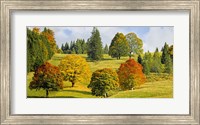 Autumn in Quebec Fine Art Print